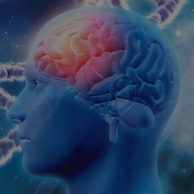 memory-and-brain-health-supplements