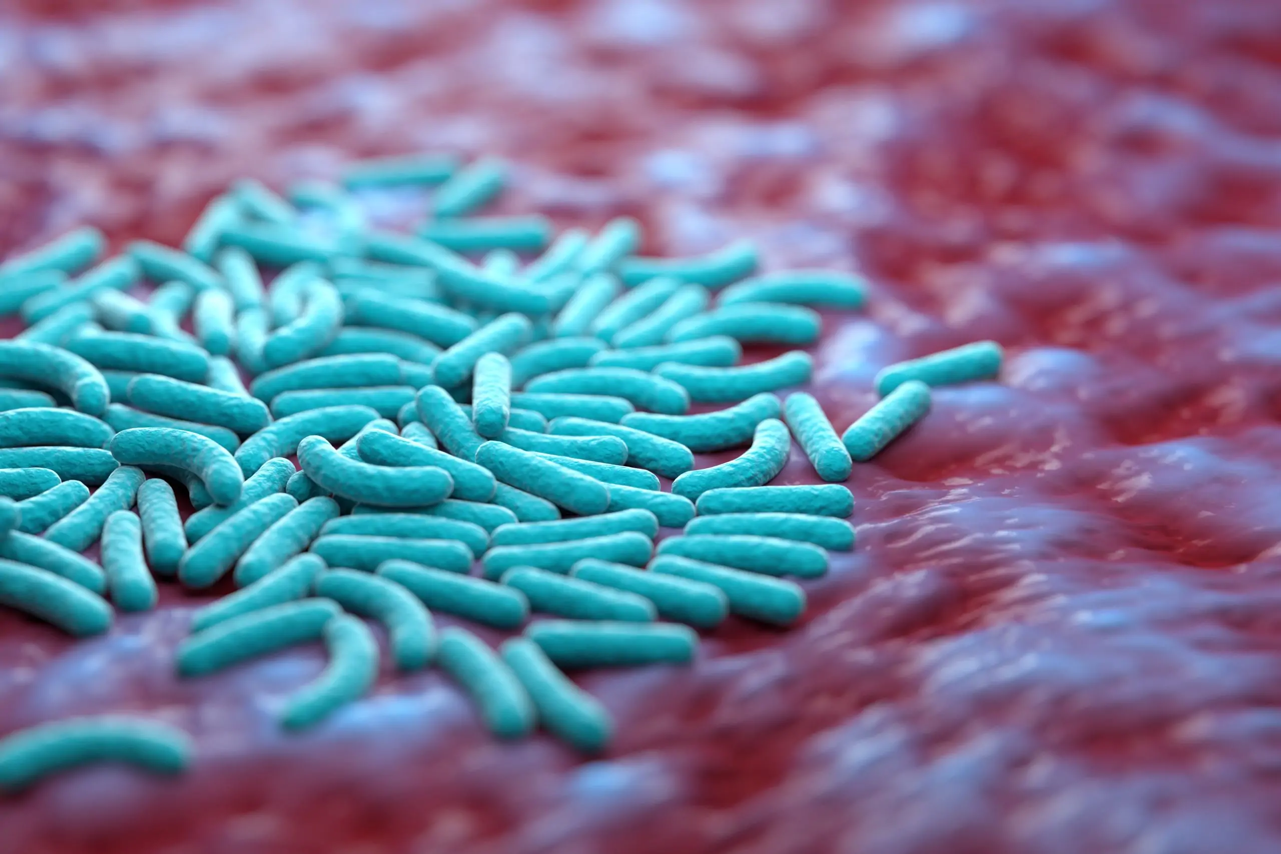 how-to-choose-a-probiotic