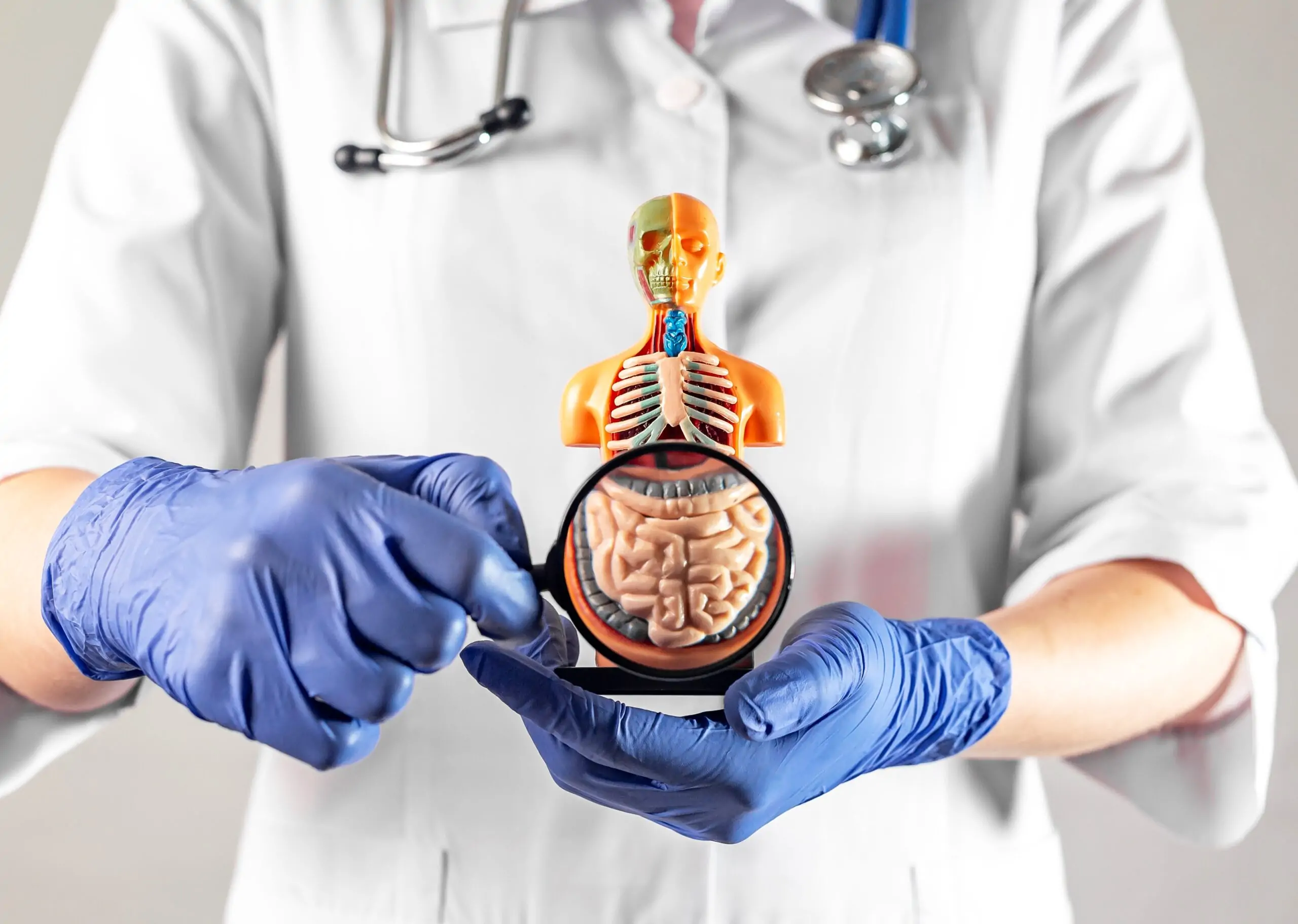The best time to take probiotics